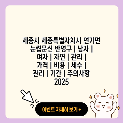 세종시 세종특별자치시 연기면 눈썹문신 반영구 남자 여자 자연 관리 가격 비용 세수 관리 기간 주의사항 2025 resized