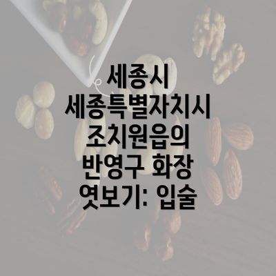 세종시 세종특별자치시 조치원읍의 반영구 화장 엿보기: 입술