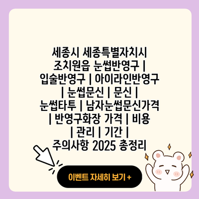 세종시 세종특별자치시 조치원읍 눈썹반영구 입술반영구 아이라인반영구 눈썹문신 문신 눈썹타투 남자눈썹문신가격 반영구화장 가격 비용 관리 기간 주의사항 2025 총정리 resized