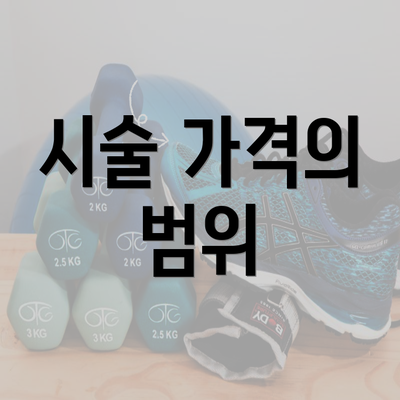 시술 가격의 범위