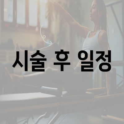 시술 후 일정