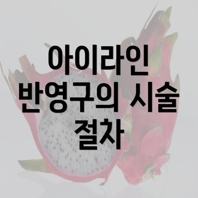 아이라인 반영구의 시술 절차