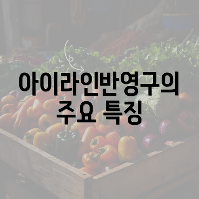 아이라인반영구의 주요 특징