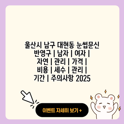 울산시 남구 대현동 눈썹문신 반영구 남자 여자 자연 관리 가격 비용 세수 관리 기간 주의사항 2025 resized