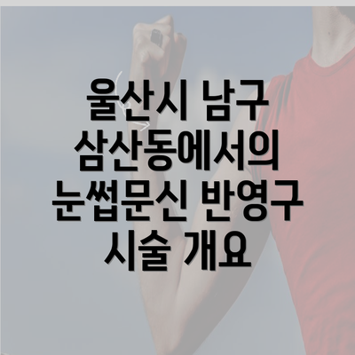 울산시 남구 삼산동에서의 눈썹문신 반영구 시술 개요