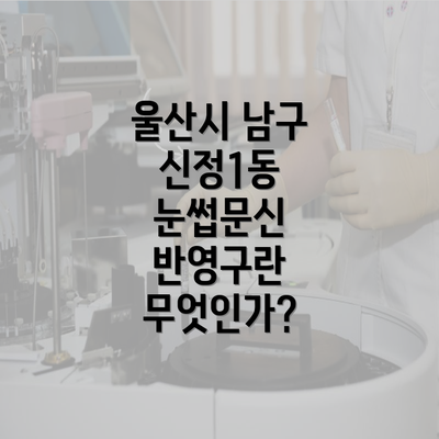 울산시 남구 신정1동 눈썹문신 반영구란 무엇인가?