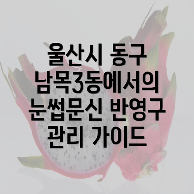 울산시 동구 남목3동에서의 눈썹문신 반영구 관리 가이드