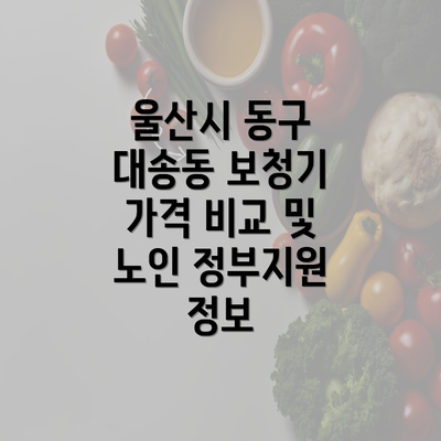 울산시 동구 대송동 보청기 가격 비교 및 노인 정부지원 정보