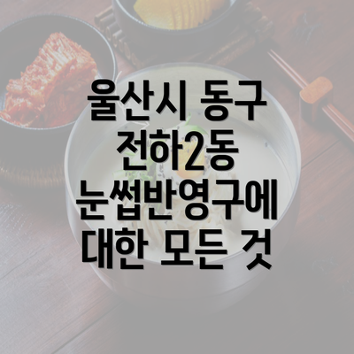 울산시 동구 전하2동 눈썹반영구에 대한 모든 것