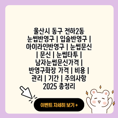 울산시 동구 전하2동 눈썹반영구 입술반영구 아이라인반영구 눈썹문신 문신 눈썹타투 남자눈썹문신가격 반영구화장 가격 비용 관리 기간 주의사항 2025 총정리 resized