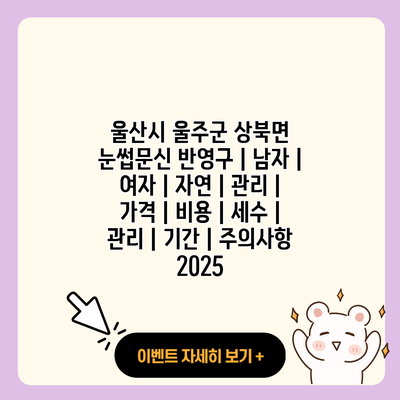 울산시 울주군 상북면 눈썹문신 반영구 남자 여자 자연 관리 가격 비용 세수 관리 기간 주의사항 2025 resized