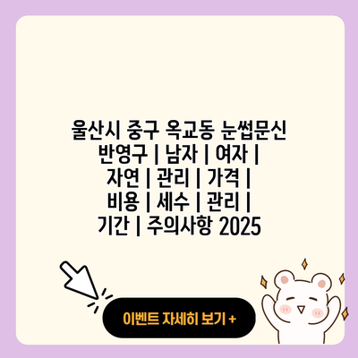 울산시 중구 옥교동 눈썹문신 반영구 남자 여자 자연 관리 가격 비용 세수 관리 기간 주의사항 2025 resized