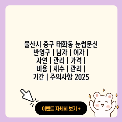 울산시 중구 태화동 눈썹문신 반영구 남자 여자 자연 관리 가격 비용 세수 관리 기간 주의사항 2025 resized