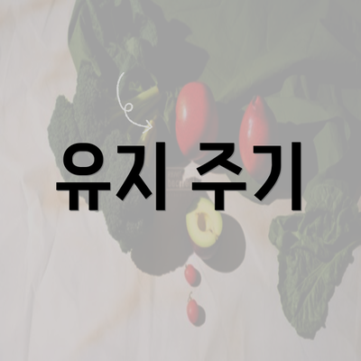 인천시 미추홀구 주안3동 눈썹문신 반영구 | 남자 | 여자 | 자연 | 관리 | 가격 | 비용 | 세수 | 관리 | 기간 | 주의사항 2025 5 유지 주기