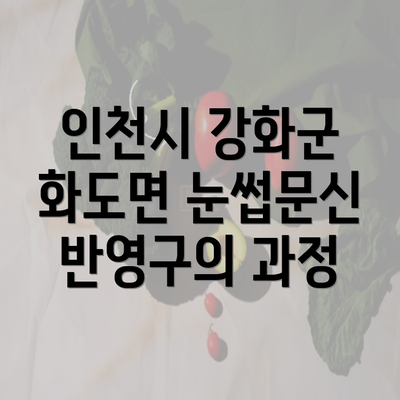 인천시 강화군 화도면 눈썹문신 반영구의 과정