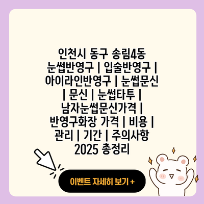 인천시 동구 송림4동 눈썹반영구 입술반영구 아이라인반영구 눈썹문신 문신 눈썹타투 남자눈썹문신가격 반영구화장 가격 비용 관리 기간 주의사항 2025 총정리 resized