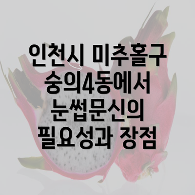 인천시 미추홀구 숭의4동에서 눈썹문신의 필요성과 장점