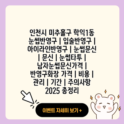 인천시 미추홀구 학익1동 눈썹반영구 입술반영구 아이라인반영구 눈썹문신 문신 눈썹타투 남자눈썹문신가격 반영구화장 가격 비용 관리 기간 주의사항 2025 총정리 resized