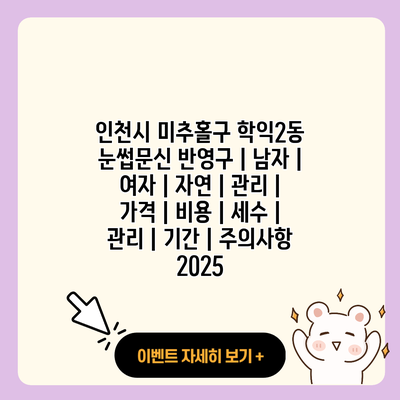 인천시 미추홀구 학익2동 눈썹문신 반영구 남자 여자 자연 관리 가격 비용 세수 관리 기간 주의사항 2025 resized