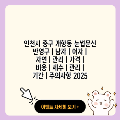 인천시 중구 개항동 눈썹문신 반영구 남자 여자 자연 관리 가격 비용 세수 관리 기간 주의사항 2025 resized