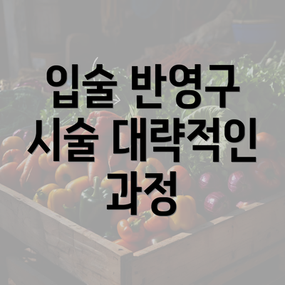 입술 반영구 시술 대략적인 과정