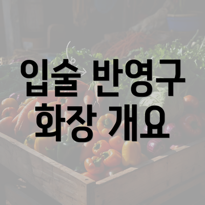 입술 반영구 화장 개요