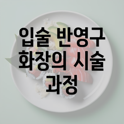 입술 반영구 화장의 시술 과정