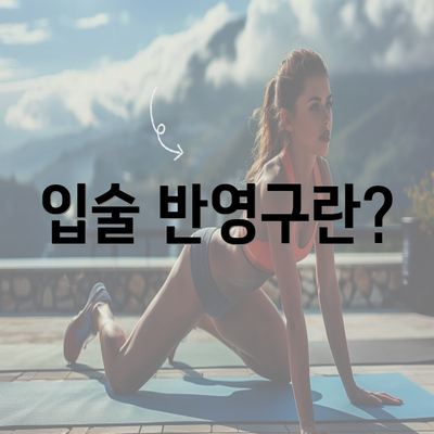 입술 반영구란?
