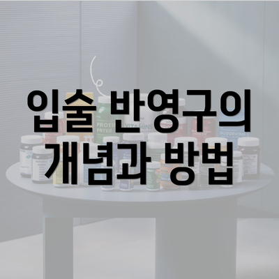 입술 반영구의 개념과 방법