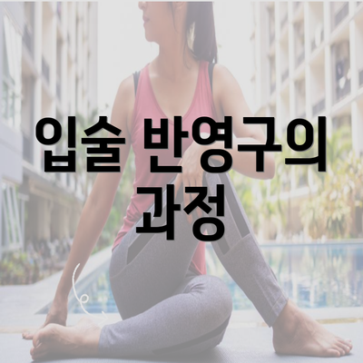입술 반영구의 과정