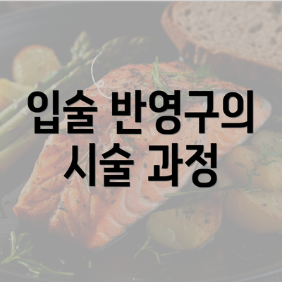 입술 반영구의 시술 과정