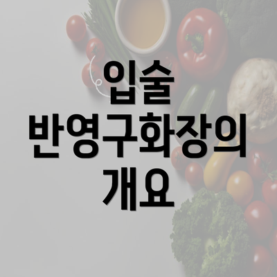 입술 반영구화장의 개요