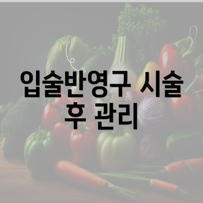 입술반영구 시술 후 관리