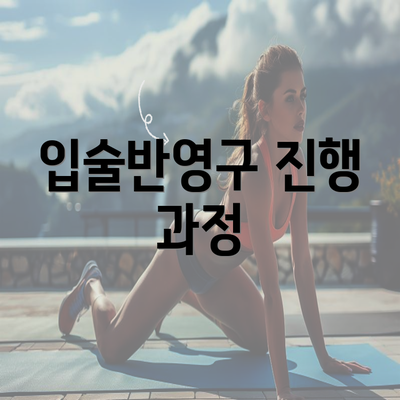 입술반영구 진행 과정