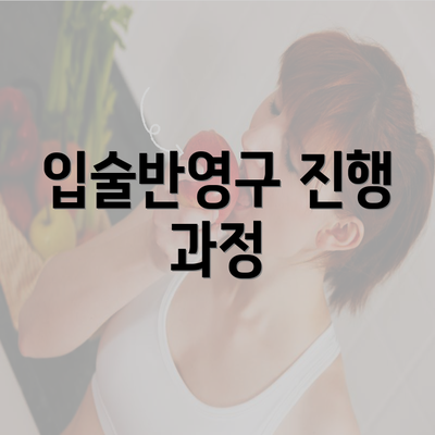 입술반영구 진행 과정