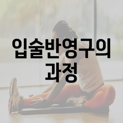 서울시 서초구 내곡동 눈썹반영구 | 입술반영구 | 아이라인반영구 | 눈썹문신 | 문신 | 눈썹타투 | 남자눈썹문신가격 | 반영구화장 가격 | 비용 | 관리 | 기간 | 주의사항 2025 총정리 5 입술반영구의 과정