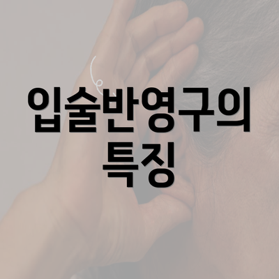 입술반영구의 특징