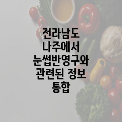 전라남도 나주에서 눈썹반영구와 관련된 정보 통합