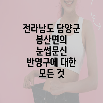 전라남도 담양군 봉산면의 눈썹문신 반영구에 대한 모든 것