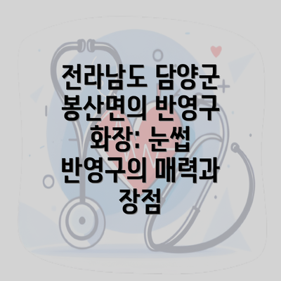 전라남도 담양군 봉산면의 반영구 화장: 눈썹 반영구의 매력과 장점