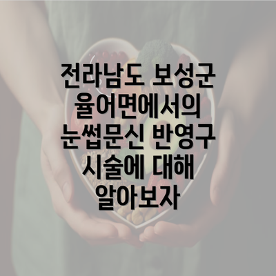 전라남도 보성군 율어면에서의 눈썹문신 반영구 시술에 대해 알아보자