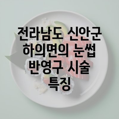 전라남도 신안군 하의면 눈썹반영구 | 입술반영구 | 아이라인반영구 | 눈썹문신 | 문신 | 눈썹타투 | 남자눈썹문신가격 | 반영구화장 가격 | 비용 | 관리 | 기간 | 주의사항 2025 총정리 2 전라남도 신안군 하의면의 눈썹 반영구 시술 특징
