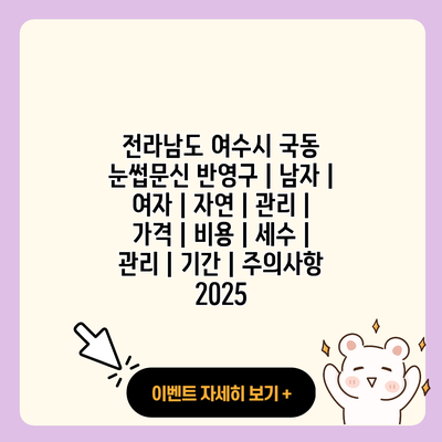 전라남도 여수시 국동 눈썹문신 반영구 남자 여자 자연 관리 가격 비용 세수 관리 기간 주의사항 2025 resized