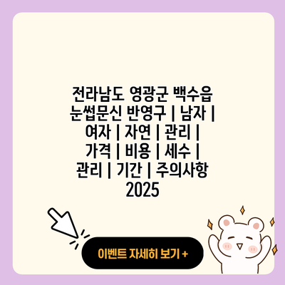 전라남도 영광군 백수읍 눈썹문신 반영구 남자 여자 자연 관리 가격 비용 세수 관리 기간 주의사항 2025 resized