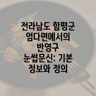 전라남도 함평군 엄다면에서의 반영구 눈썹문신: 기본 정보와 정의