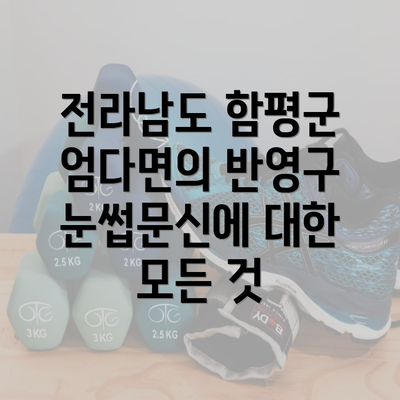 전라남도 함평군 엄다면의 반영구 눈썹문신에 대한 모든 것