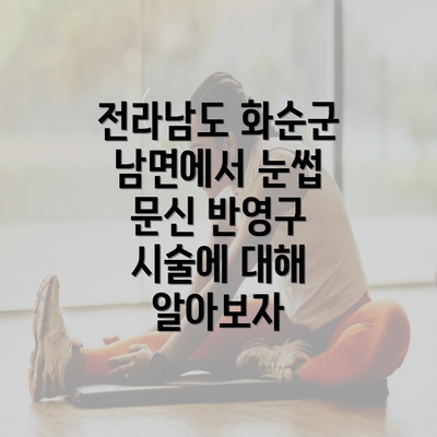 전라남도 화순군 남면에서 눈썹 문신 반영구 시술에 대해 알아보자
