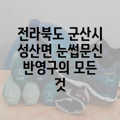 전라북도 군산시 성산면 눈썹문신 반영구의 모든 것