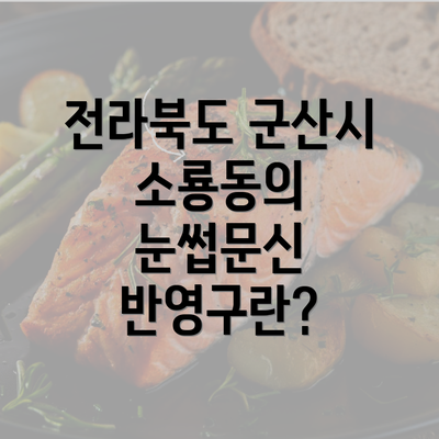 전라북도 군산시 소룡동의 눈썹문신 반영구란?