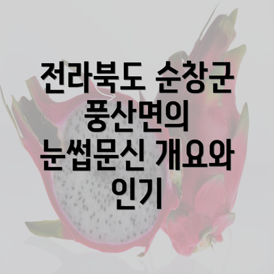 전라북도 순창군 풍산면의 눈썹문신 개요와 인기